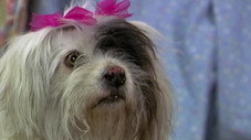 Still from Carita de Ángel S1E159