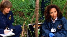Still from Law and order SVU S9E11