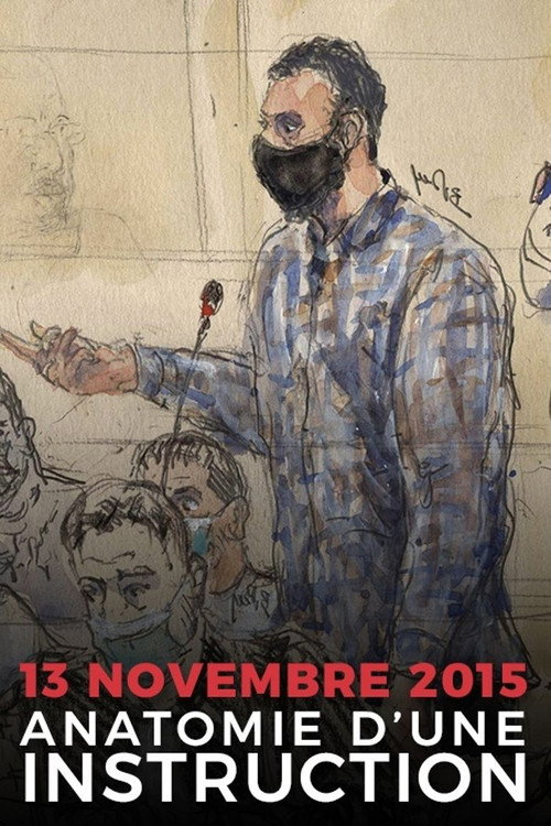 13 novembre 2015: anatomie d'une instruction