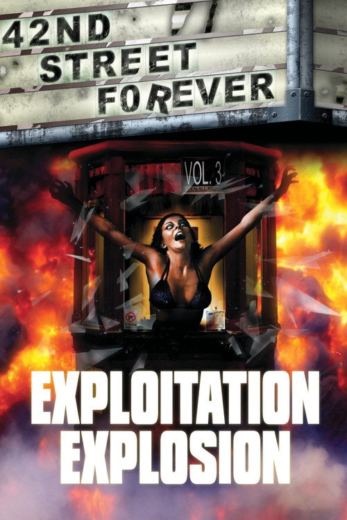 Poster for 42nd Street Forever, Volume 3: Exploitation Explosion