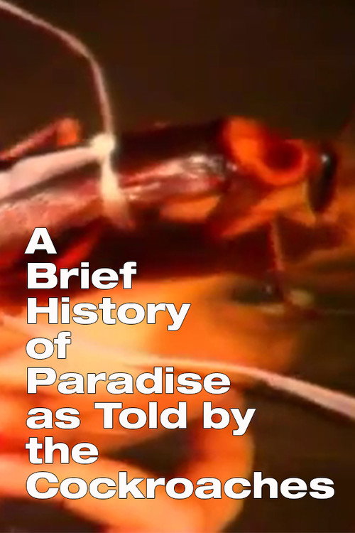 Poster for A Brief History of Paradise as Told by the Cockroaches