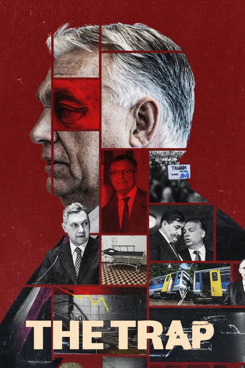A csapda - Az Orbán-korszak elvesztett lehetõségeinek története