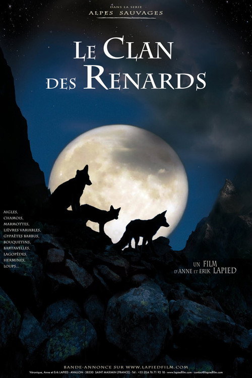 A Foxes' Tale