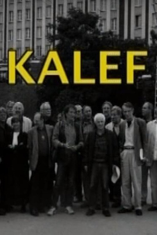 A kalef (A Moszkva téri galeri)