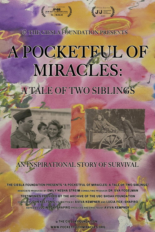 Poster for A Pocketful of Miracles: A Tale of Two Siblings