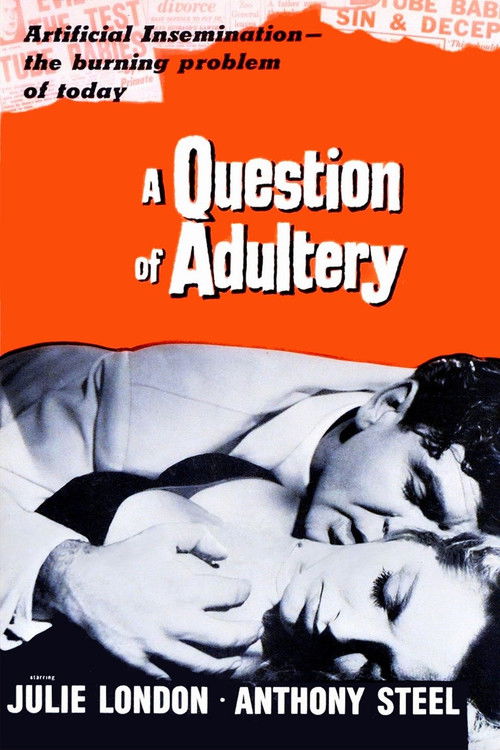 A Question of Infidelity