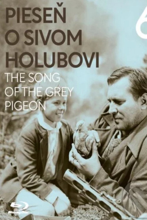 A Song About the Gray Pigeon