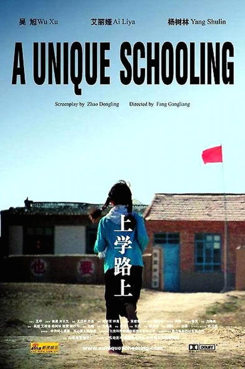 A Unique Schooling