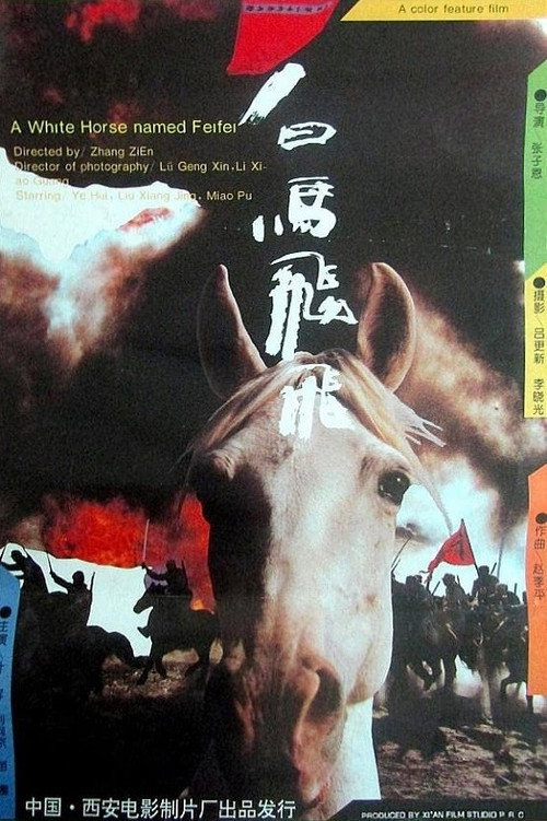 A White Horse Named Feifei
