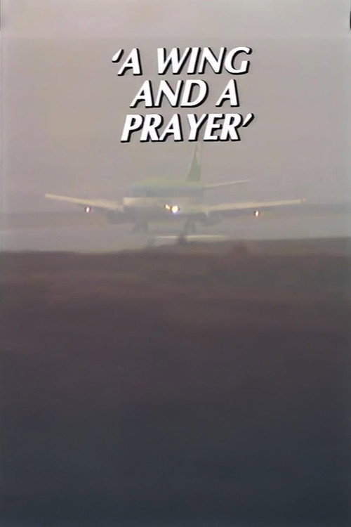A Wing and a Prayer: The Story of Knock Airport