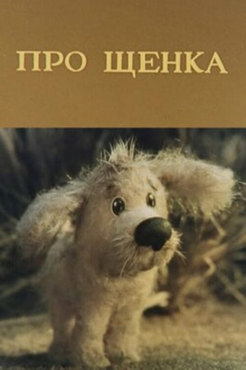 About Puppy