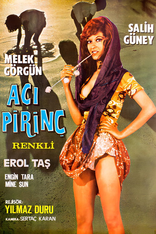 Aci Pirinç