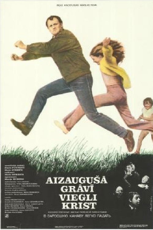 Aizaugusa gravi viegli krist