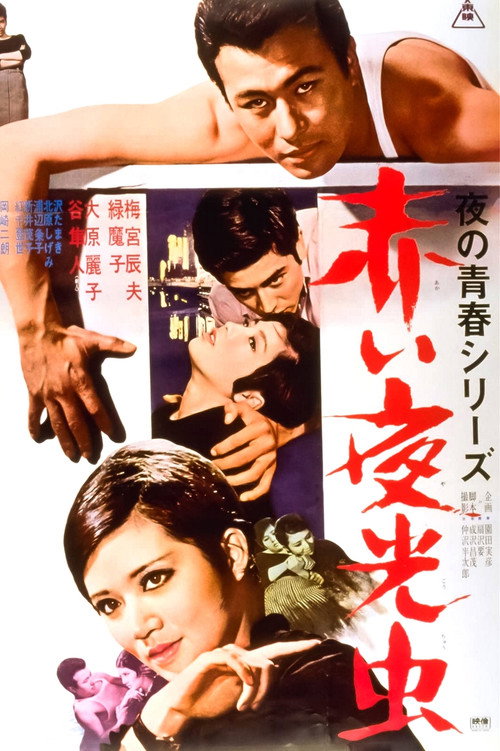 Akai yakôchû