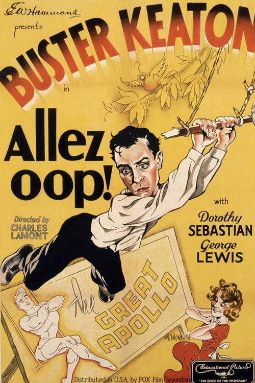 Allez Oop!