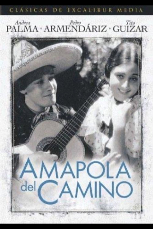 Amapola del camino