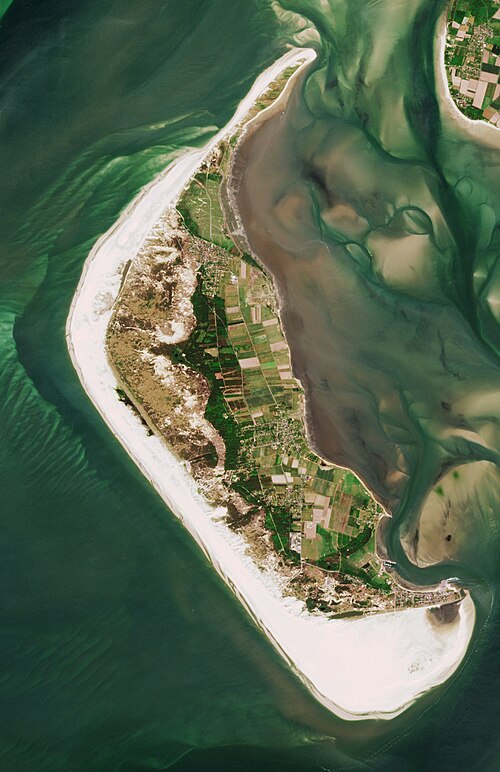 Amrum