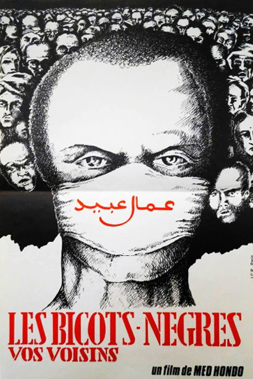 Arabs and Niggers, Your Neighbours