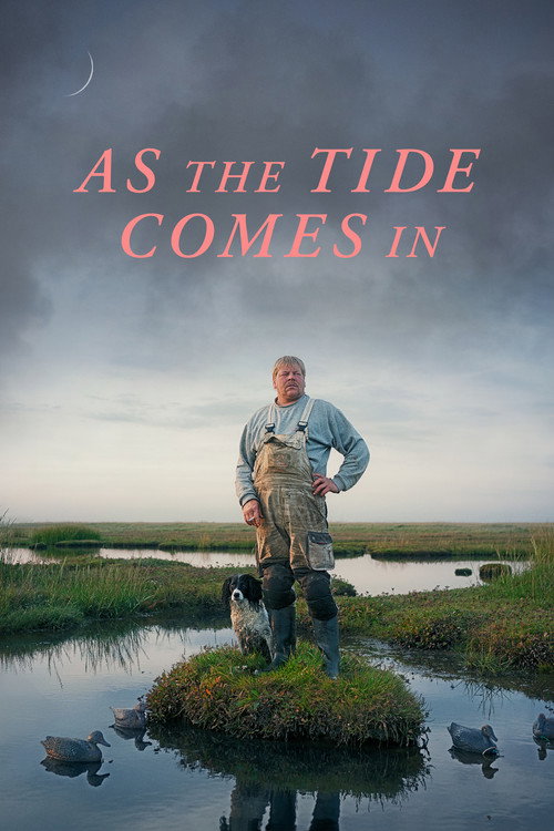 As the Tide Comes In