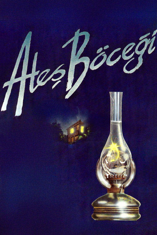 Ates Böcegi