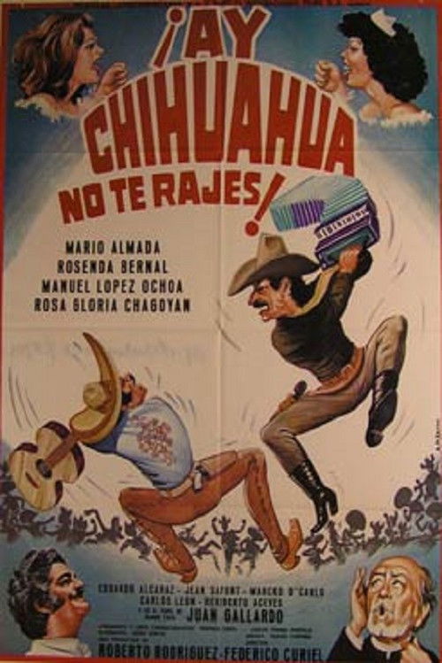 Ay Chihuahua no te rajes!