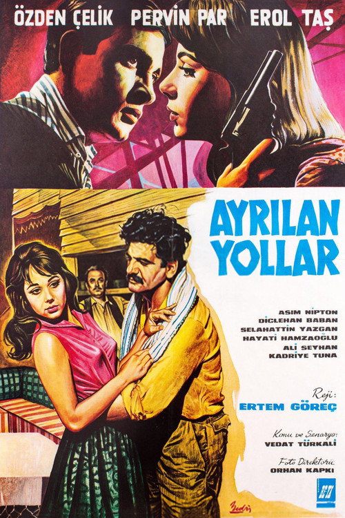 Ayrilan yollar