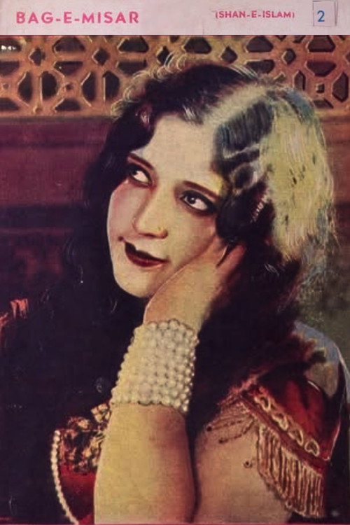 Bag-E-Misar