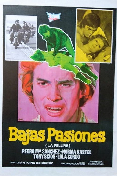 Bajas pasiones (La felure)
