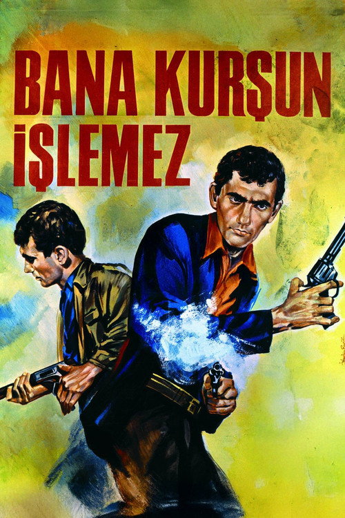 Bana Kursun Islemez