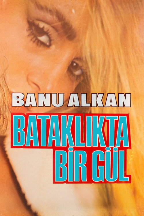 Bataklikta Bir Gül