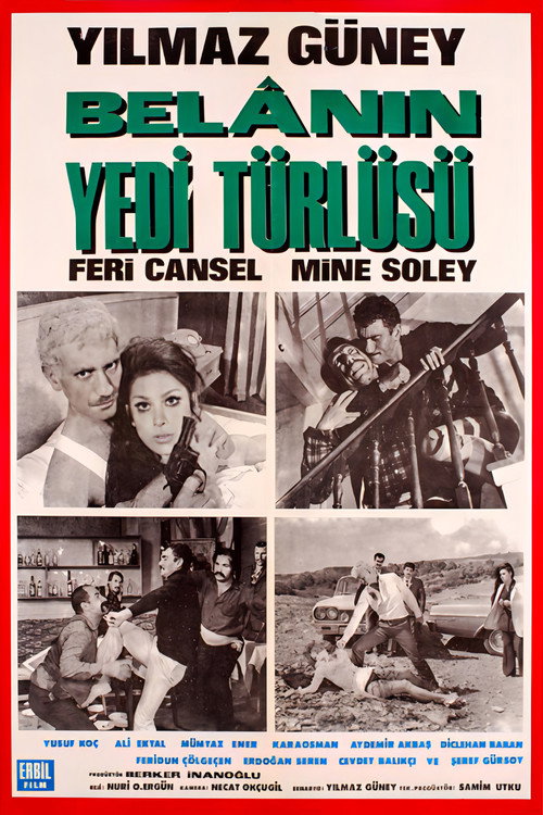 Belanin Yedi Türlüsü