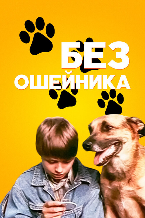 Bez osheynika