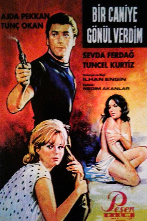 Bir caniye gönül verdim