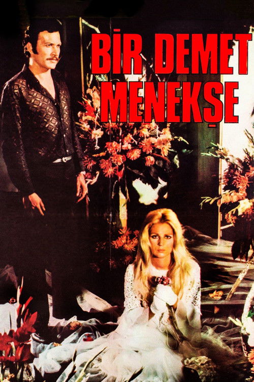 Bir Demet Menekse