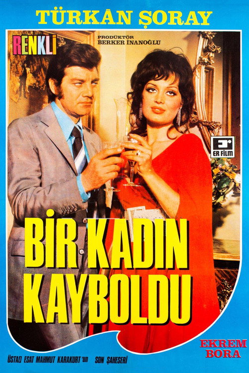 Bir Kadin Kayboldu