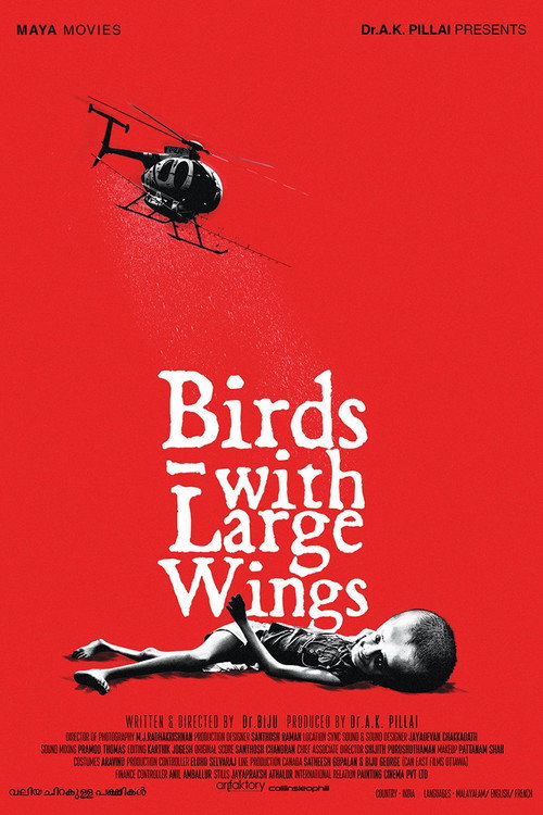 Birds with Large Wings