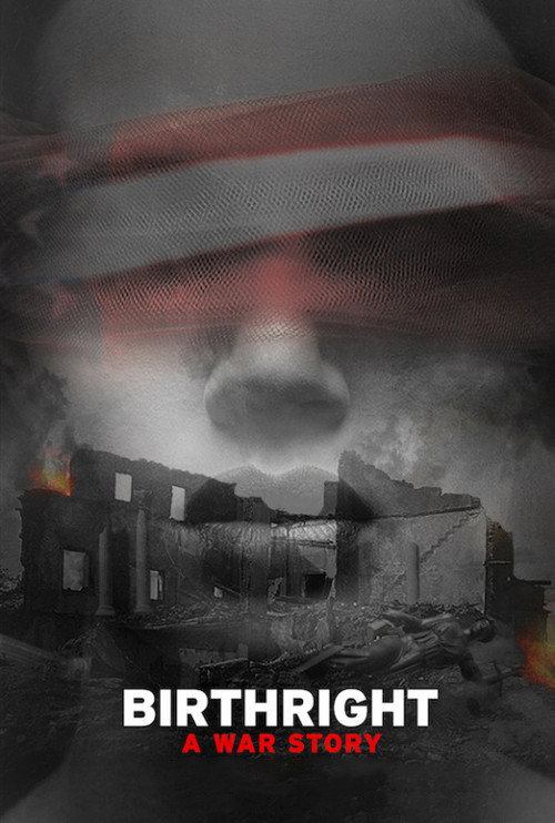 Poster for Birthright: A War Story