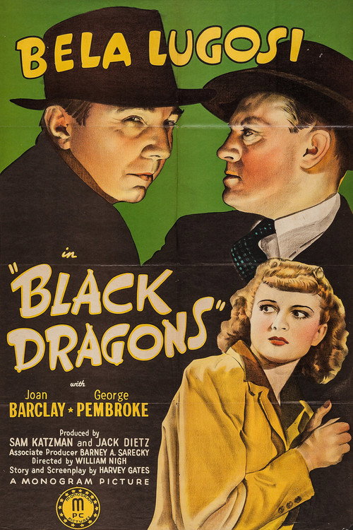 Black Dragons