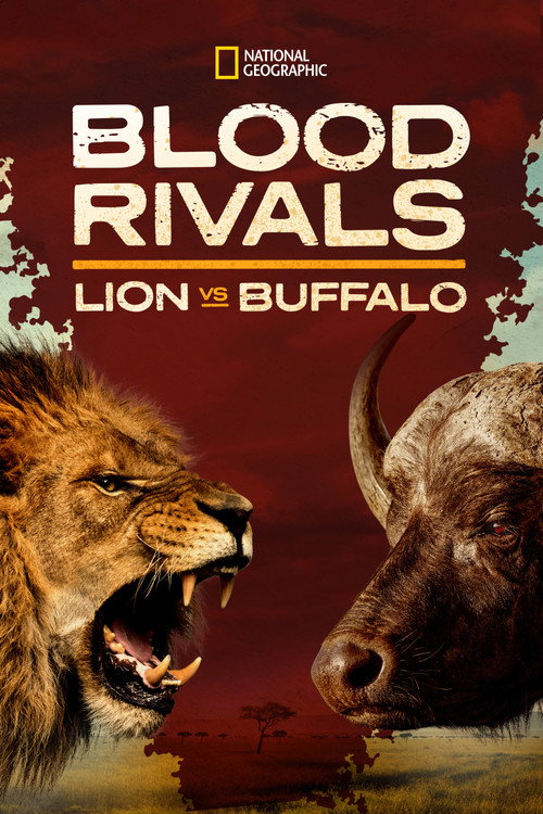 Blood Rivals Lion vs Buffalo: Buffalo Fortress