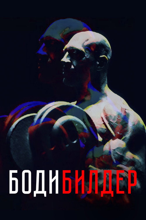 Bodibilder