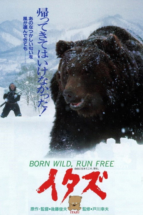 Born Wild, Run Free