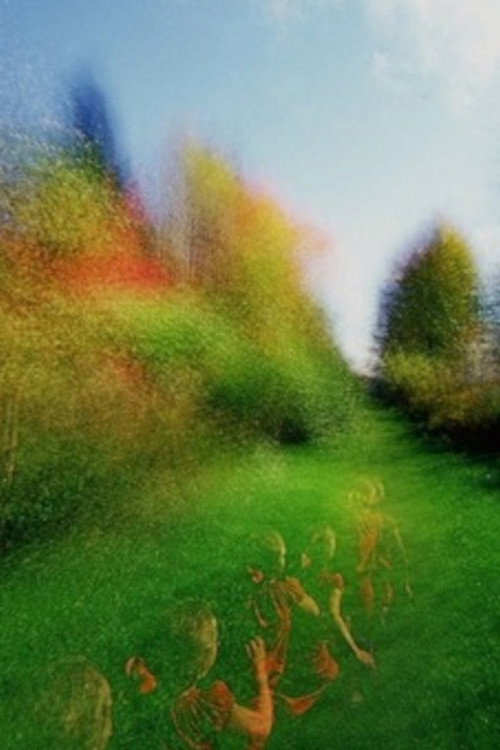 Brouillard: Passage #14