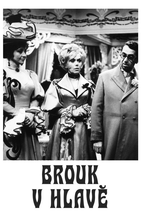 Brouk v hlave