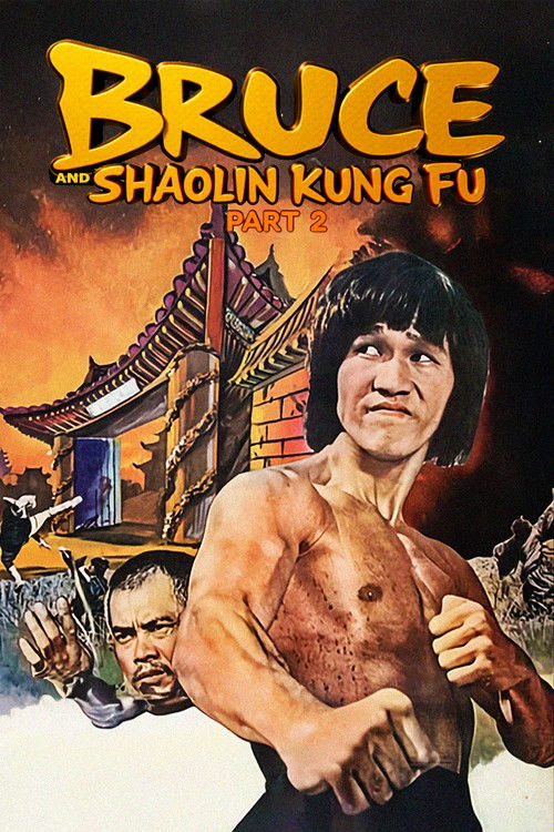 Bruce and Shaolin Kung Fu 2