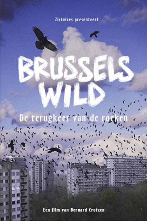 Bruxelles sauvage, le retour des corbeaux