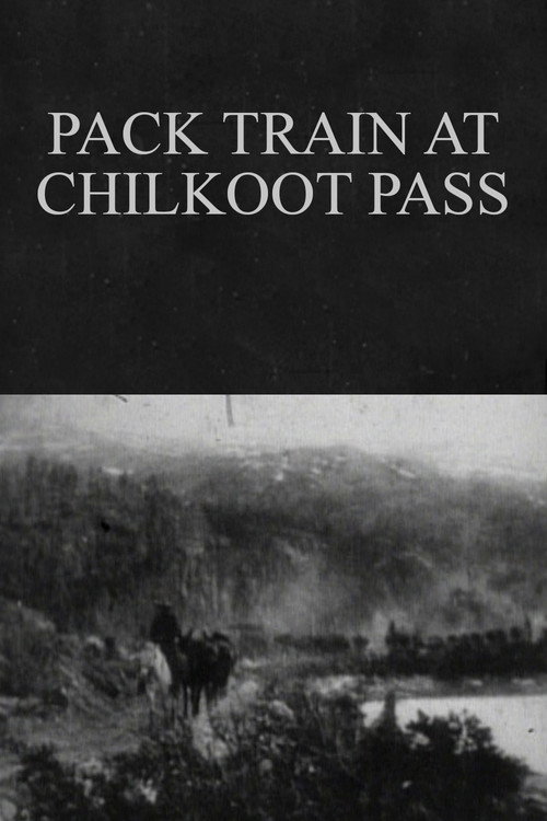 Burro Pack Train on the Chilcoot Pass
