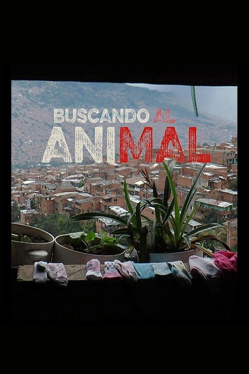 Buscando al Animal
