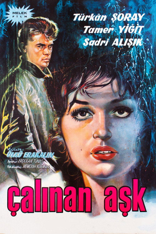 Çalinan ask