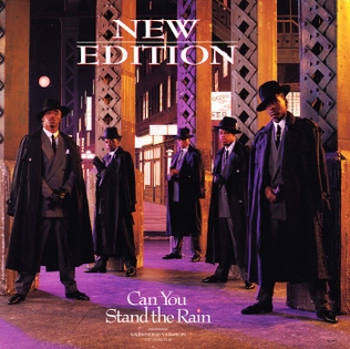 Can You Stand the Rain