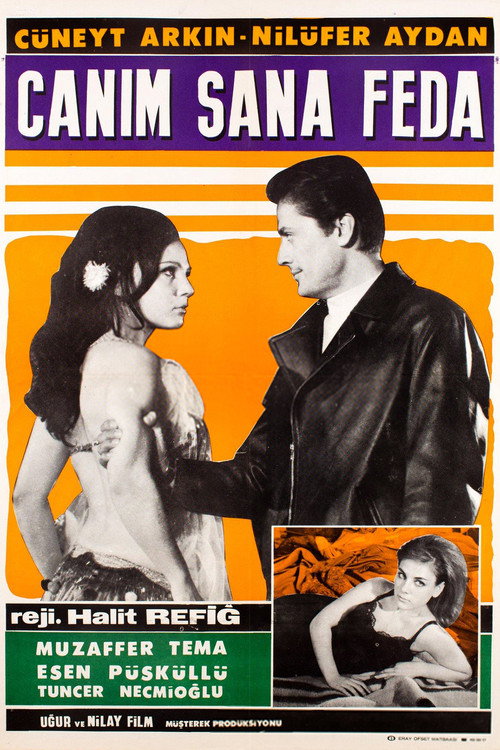 Canim sana feda